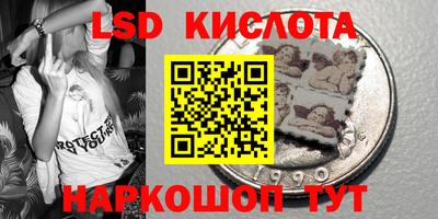 mdpv Новодвинск