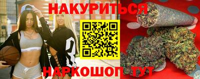 mdpv Новодвинск
