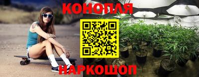 mdpv Новодвинск