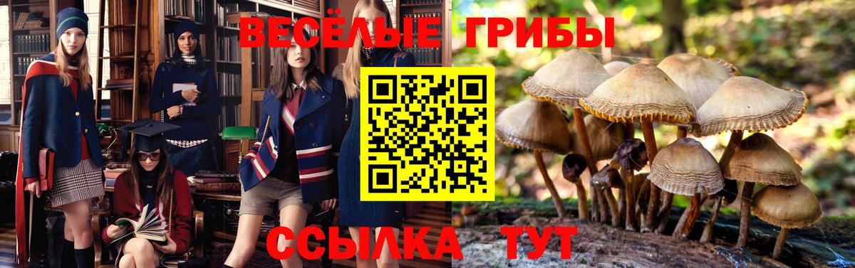 Новоуральск  Галлюциногенные грибы мицелий  Вход с VPN 